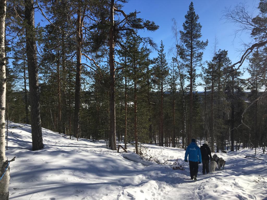 Yllaeksen Yoepuu Villa Äkäslompolo Kültér fotó